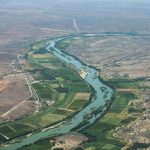 Vineyards along Orange River South Africa